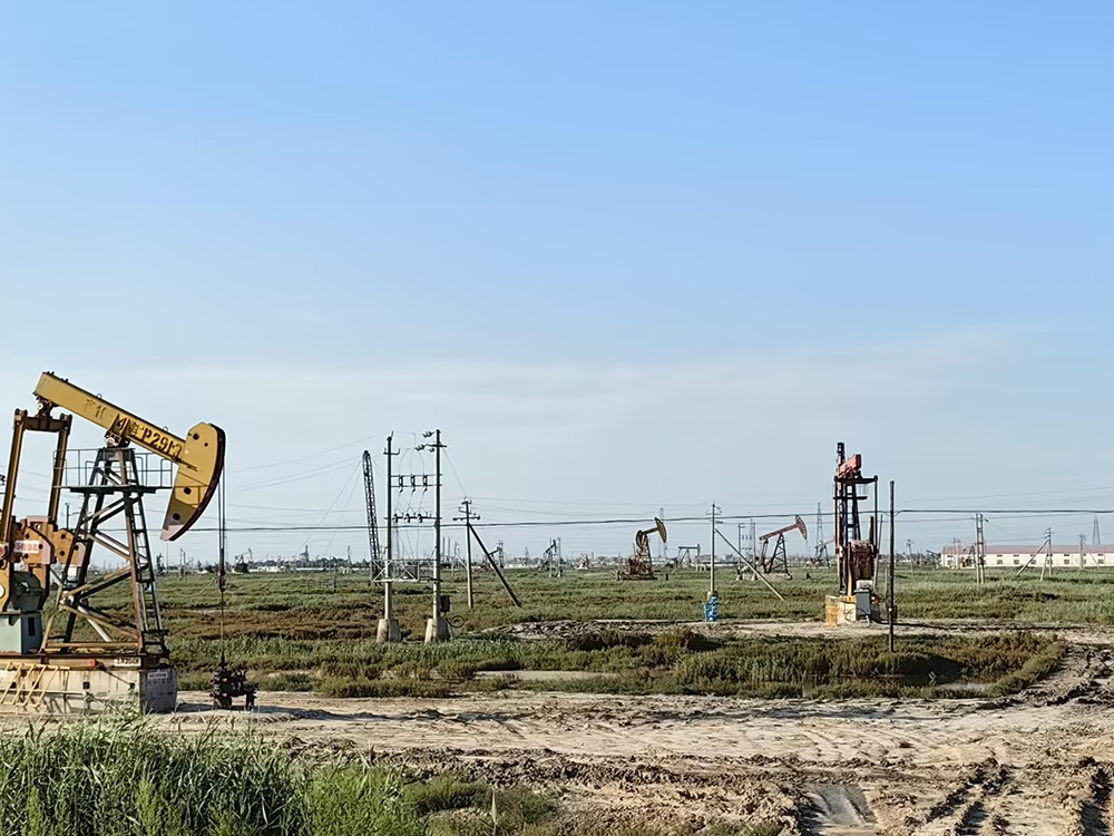 生物發(fā)酵領(lǐng)域系統(tǒng)解決方案